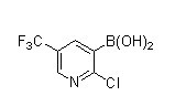 2-氯-5-三氟甲基吡啶-3-硼酸